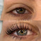 At-Home Lash Lift Kit Sassy Saints - Brings The Salon Home